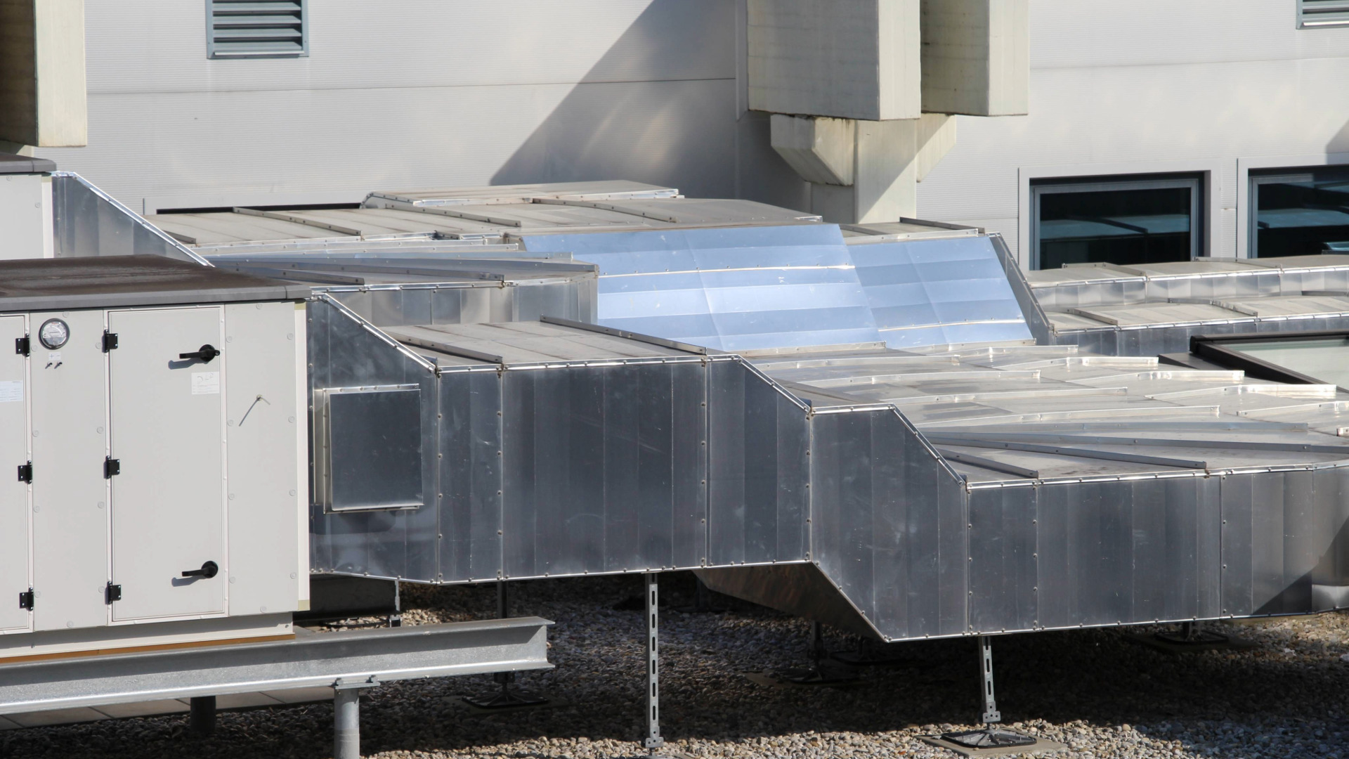 planthoroughly_background